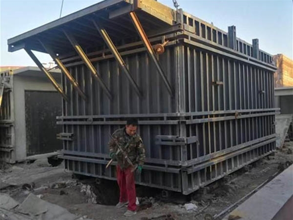Cement house mold